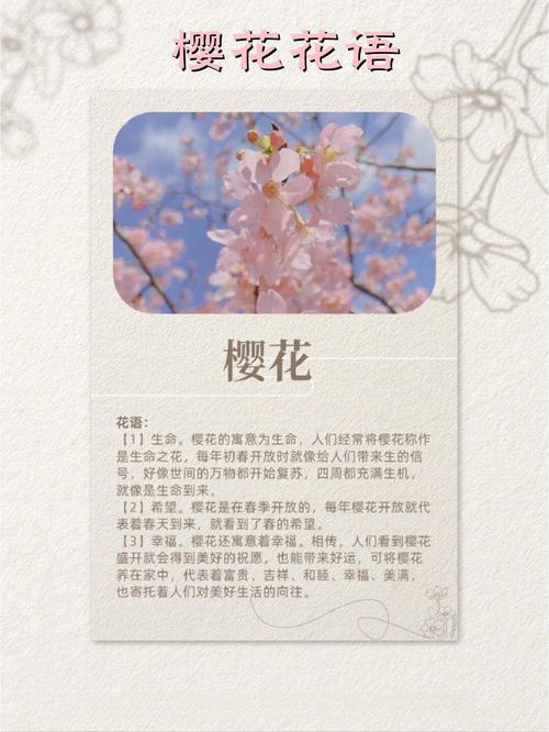 樱花树代表什么?从园艺到文化,读懂它的深层寓意 如何让樱花树在你的庭院里“诉说”这些故事?