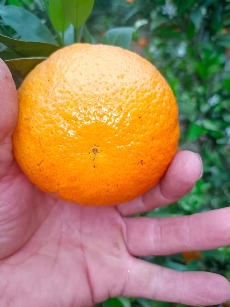 价格快速参考