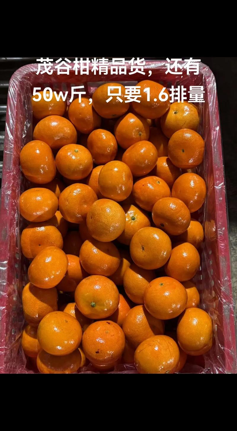 季节因素对价格的影响