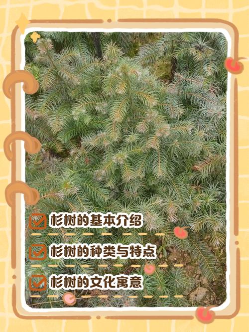 五、几点重要提醒