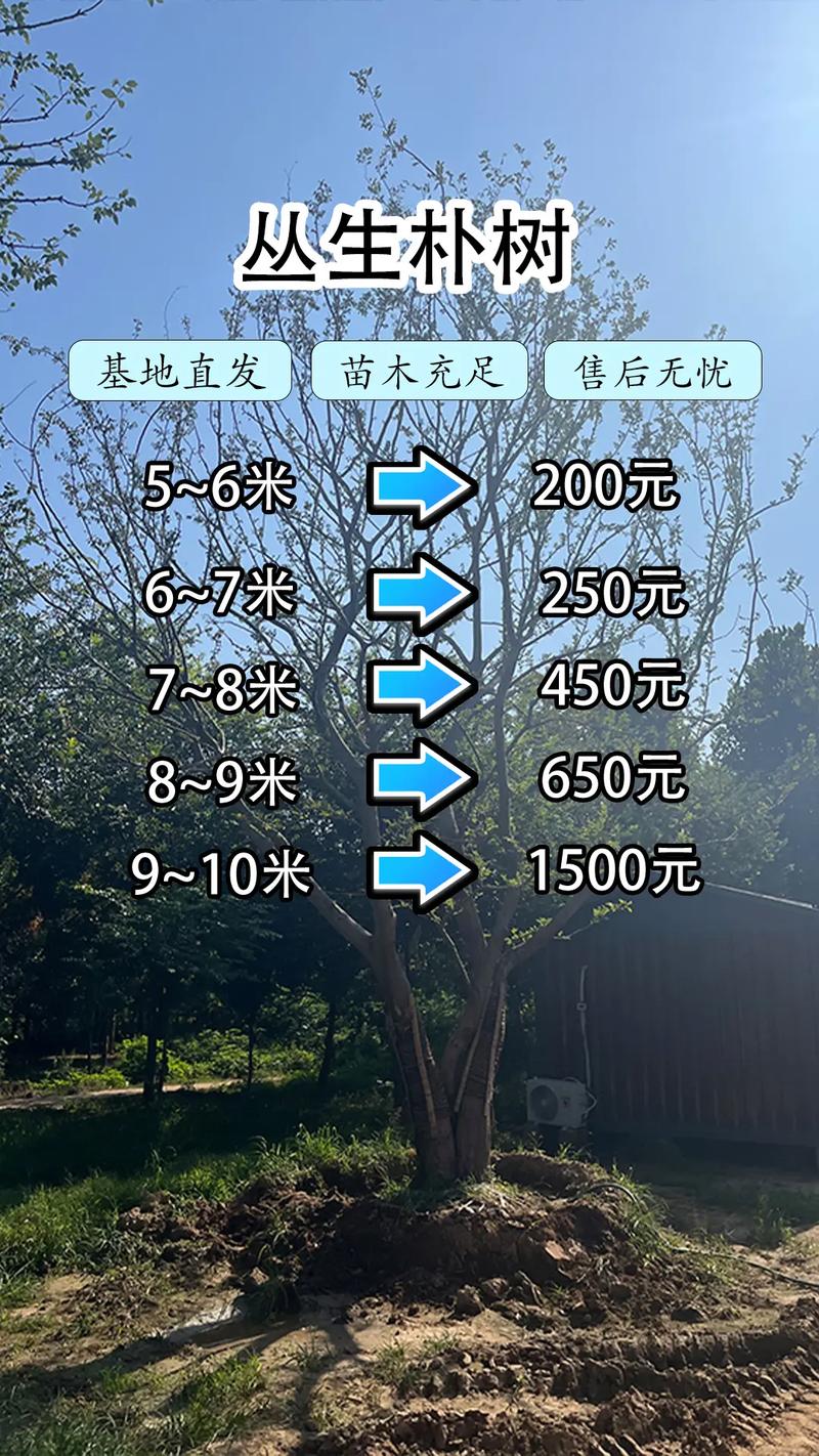 总结