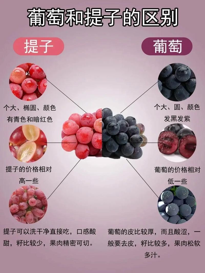 提子的授粉需求：绝大多数品种自花结实，无需配置授粉树