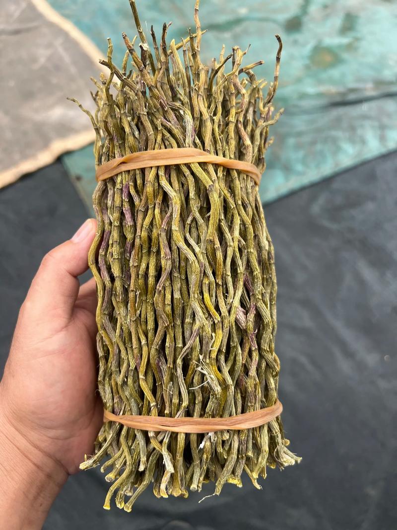 铁皮石斛买哪个品种最好?红杆 vs 绿杆 6大维度对比 6大维度对比表格