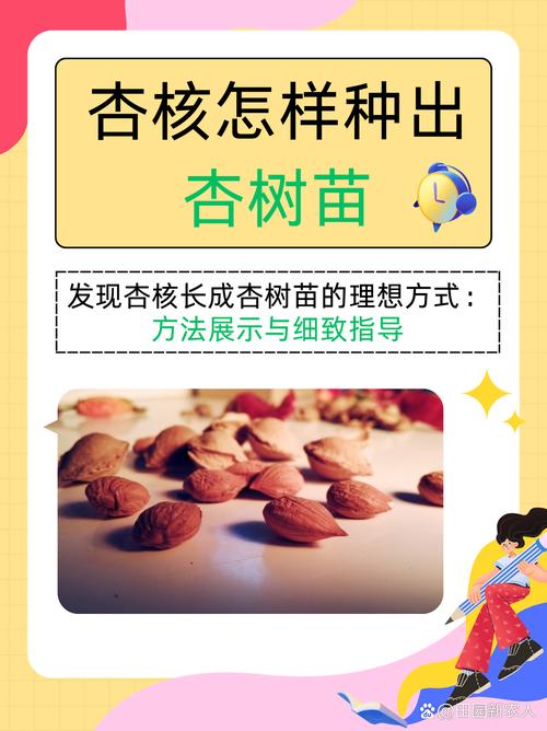 杏核怎么种出树苗?七个步骤教你从零育出杏树苗 三、栽前处理:破壳沙藏不可省略