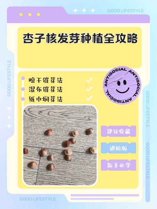 杏核怎么种出树苗?七个步骤教你从零育出杏树苗 五、浇定根水:小水慢灌,一次浇透