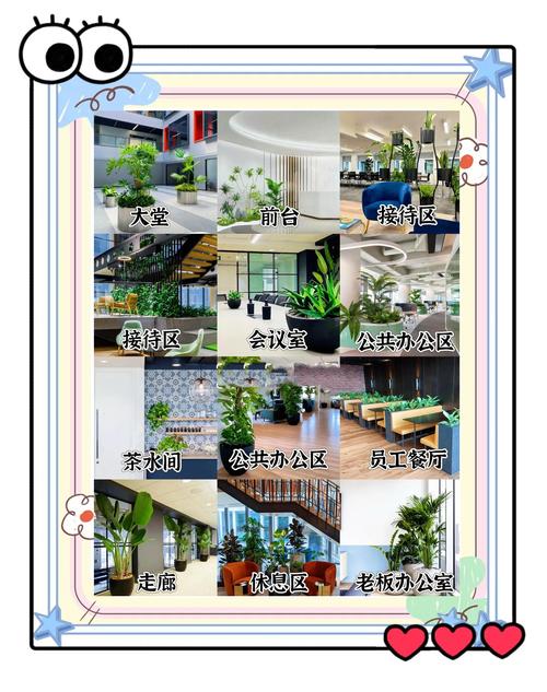 办公室放多少植物好?科学养护与空间搭配指南 推荐3种适合办公室的植物及养护方案