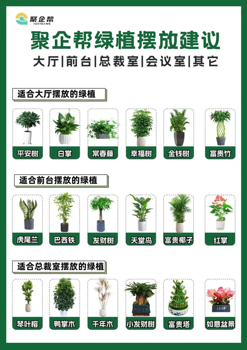办公室放多少植物好?科学养护与空间搭配指南 总结:数量不是关键,健康才是