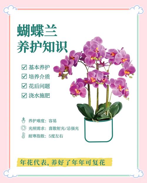 兰花开花后还会再开花吗?科学养护实现年年复花的关键技巧 总结