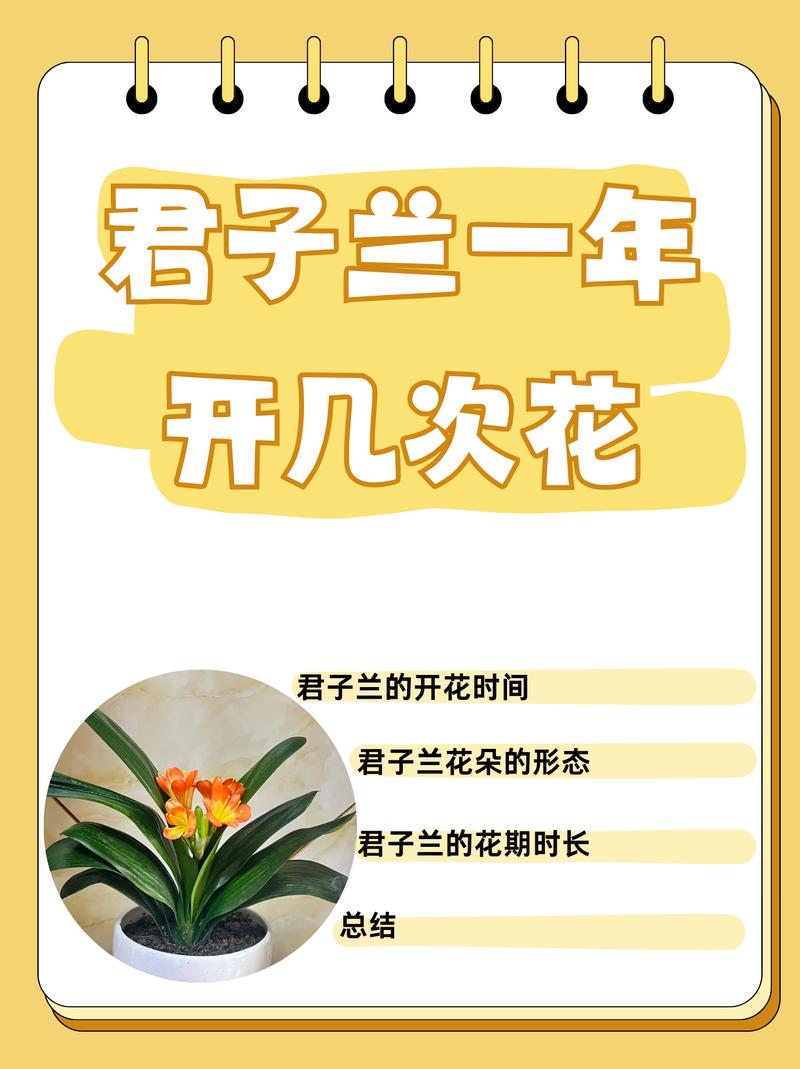 兰花开花后还会再开花吗?科学养护实现年年复花的关键技巧 五、FAQ