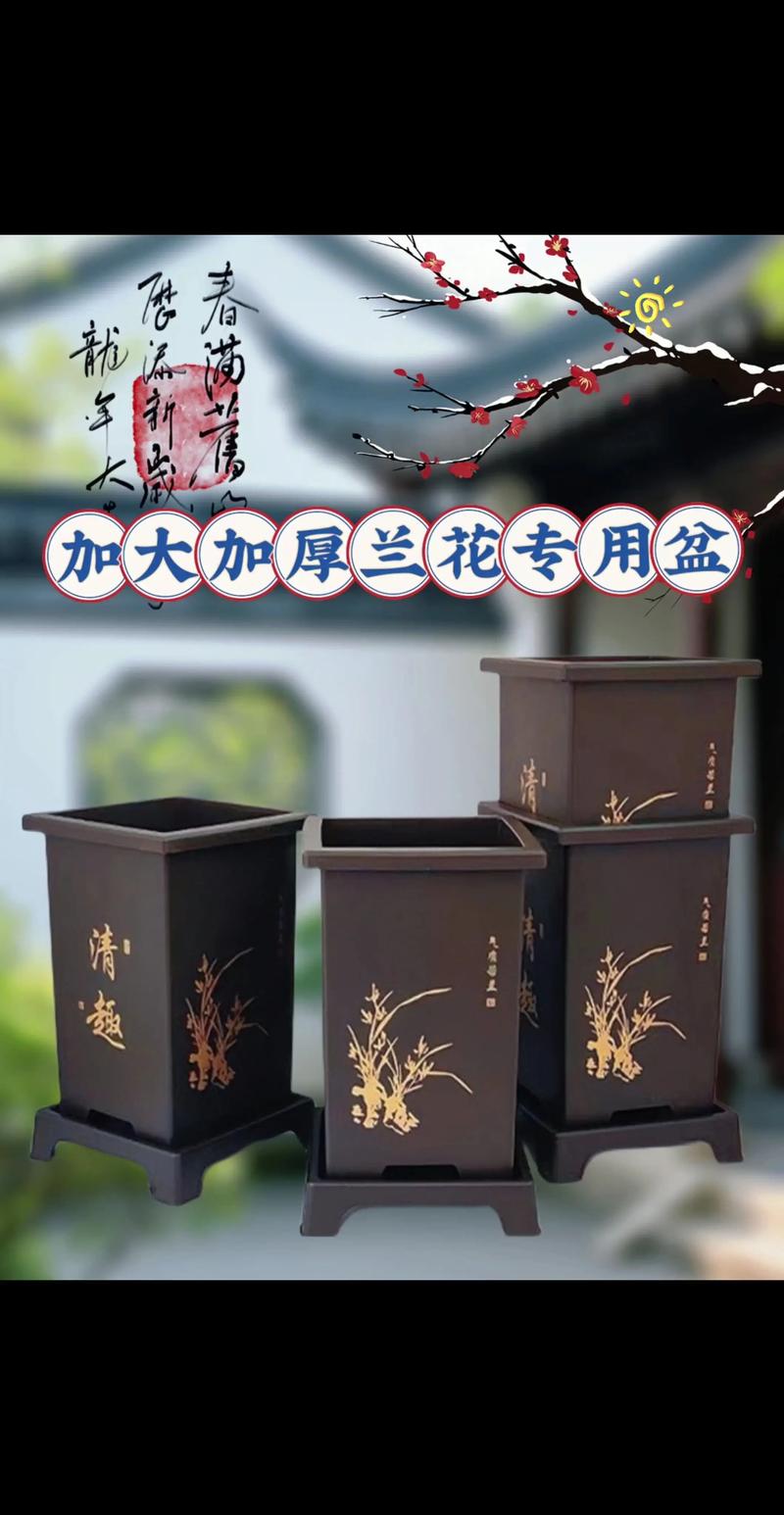 兰花盆多少钱一个?2025年价格参考与影响因素分析 产地区域因素