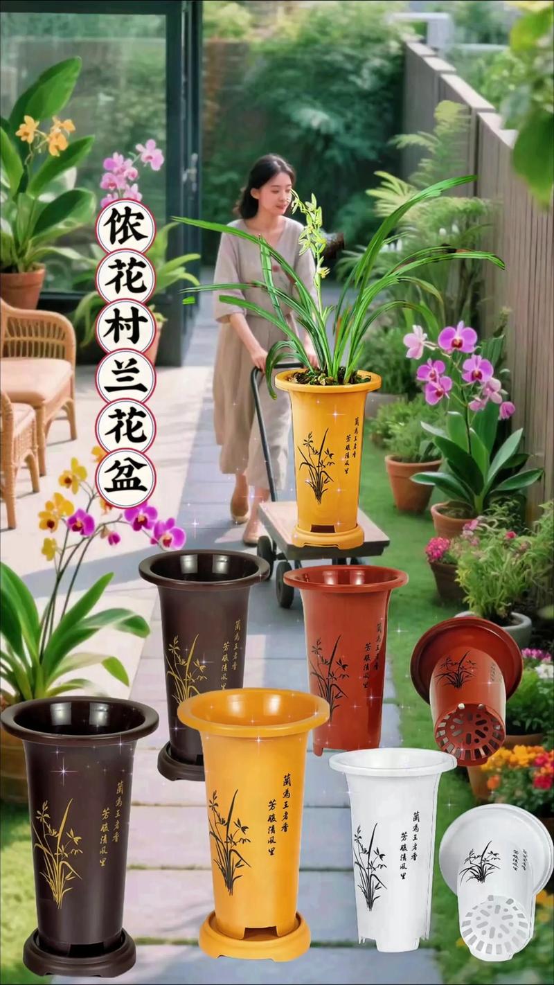 兰花盆多少钱一个?2025年价格参考与影响因素分析 规格因素