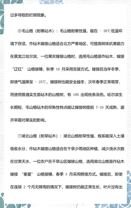 嫁接失败诊断与补救方案