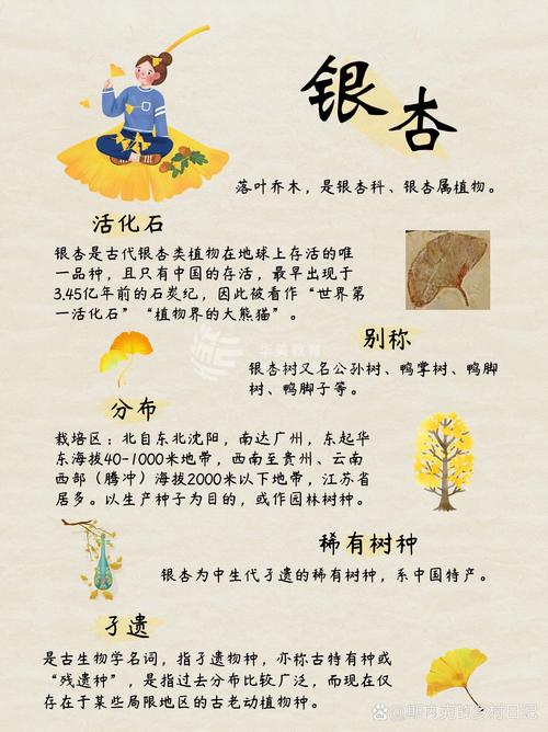 银杏叶像什么?银杏大树树形、遮荫与移栽养护全指南 树形与遮荫:银杏大树的冠幅数据