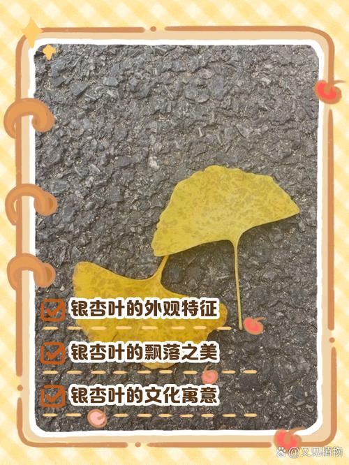 银杏叶像什么?银杏大树树形、遮荫与移栽养护全指南 FAQ