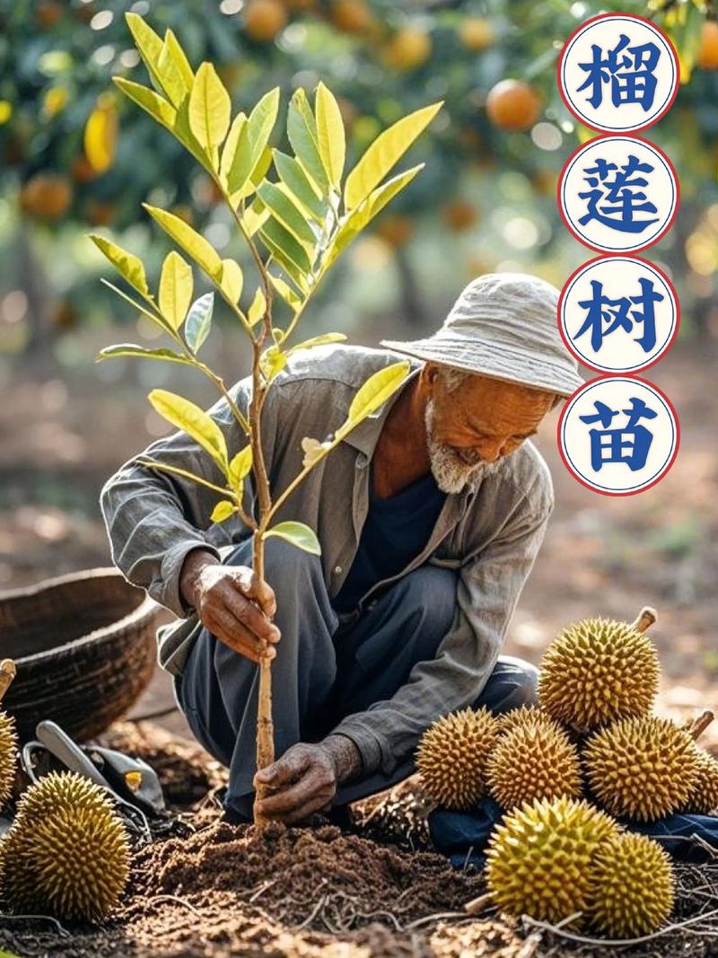 一、适宜时间规划