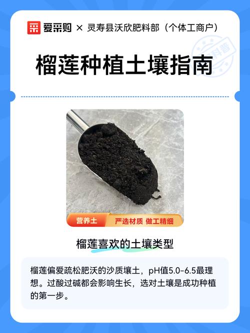 四、栽植深度控制