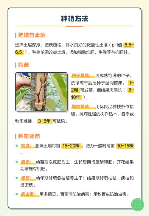 六、缓苗期管理
