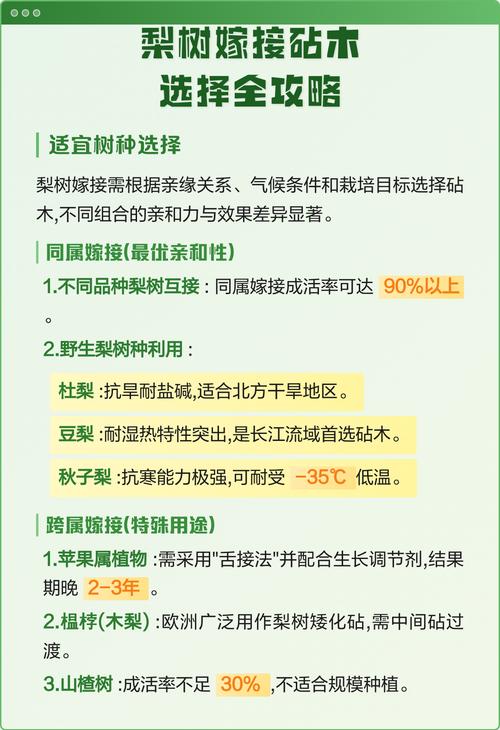 采购嫁接苗时的“三看”质量标准