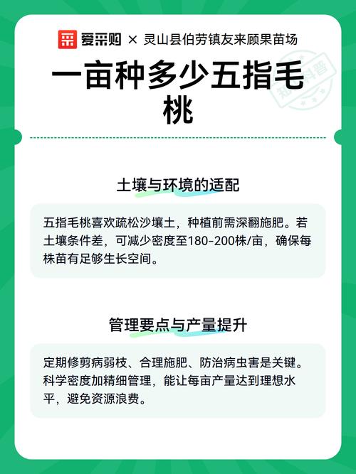 五指毛桃一亩种植多少株?合理密度与株行距全解析 总结
