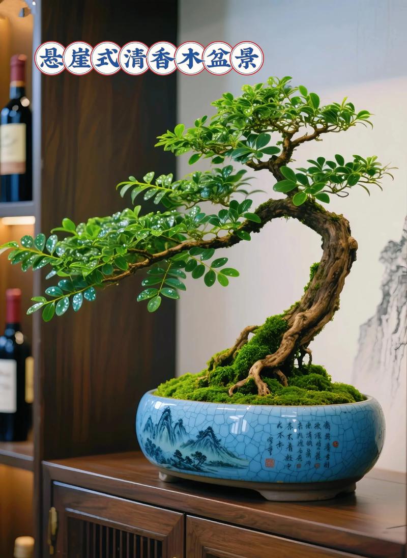清香木下山老桩栽活实战指南:七步提高成活率要点解析 清香木下山老桩栽活实战指南:七步提高成活率要点解析