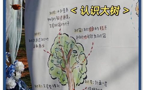 西面花园前面种树指南：从选种到成活的完整步骤
