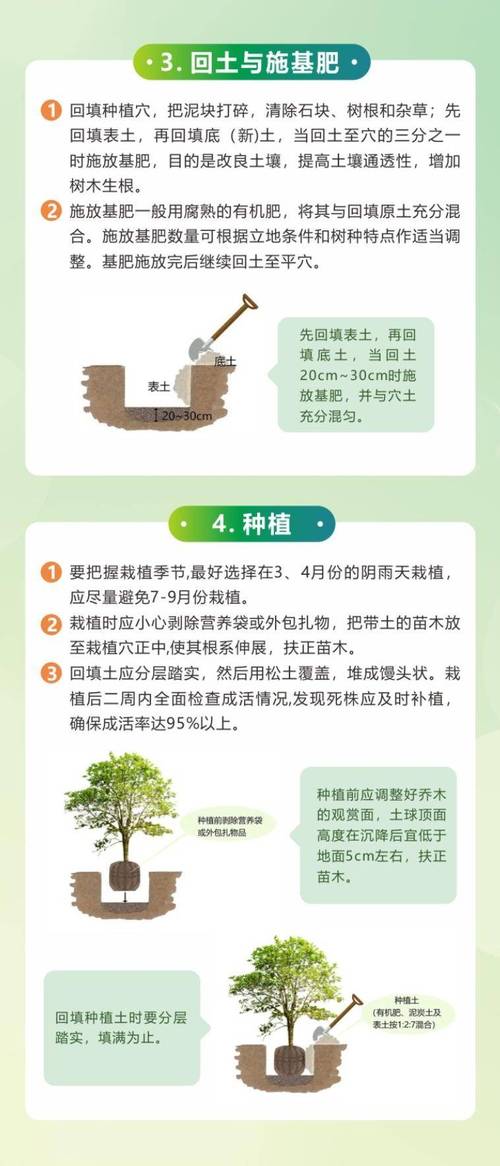 西面花园前面种树指南:从选种到成活的完整步骤 七、成活注意事项