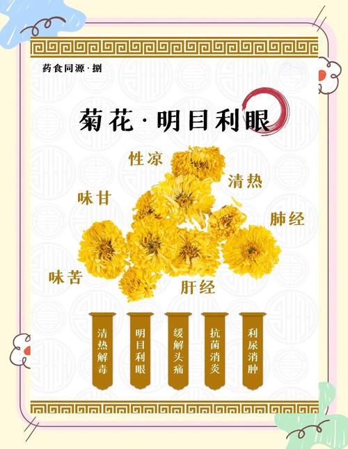 菊花的“菊”去掉草字头念什么? 光照与水肥精准方案(园艺版)