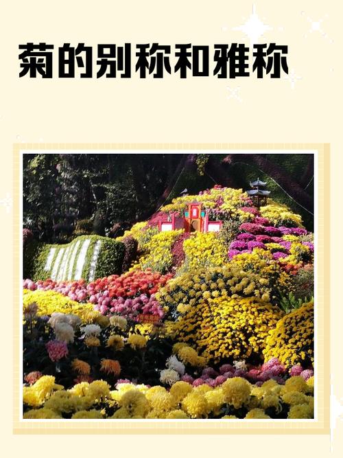 菊花的“菊”去掉草字头念什么? 越冬与越夏管理