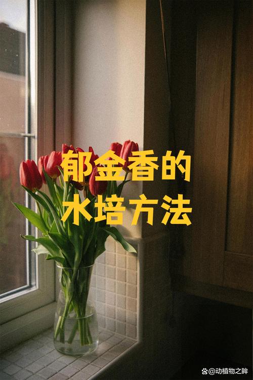 四、栽植深度