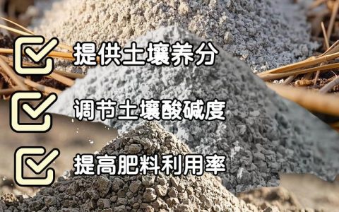 草木灰能给土壤杀菌吗？园艺新手必知的正确用法与误区