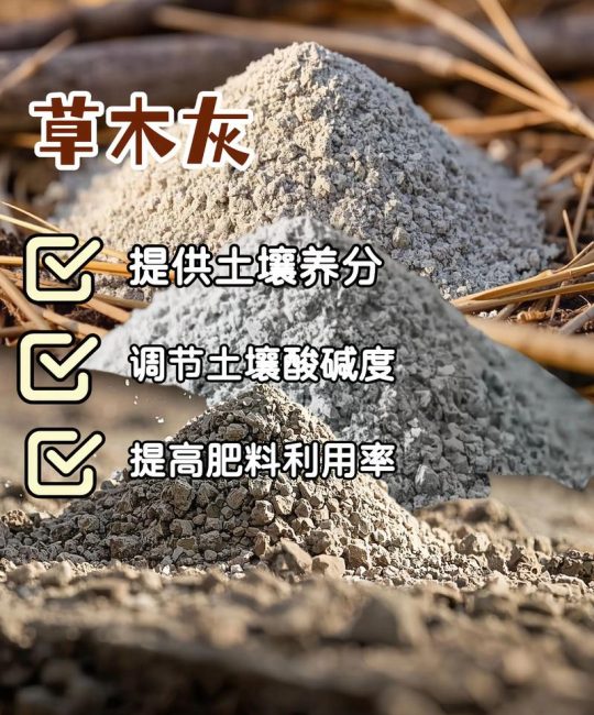 草木灰能给土壤杀菌吗？园艺新手必知的正确用法与误区