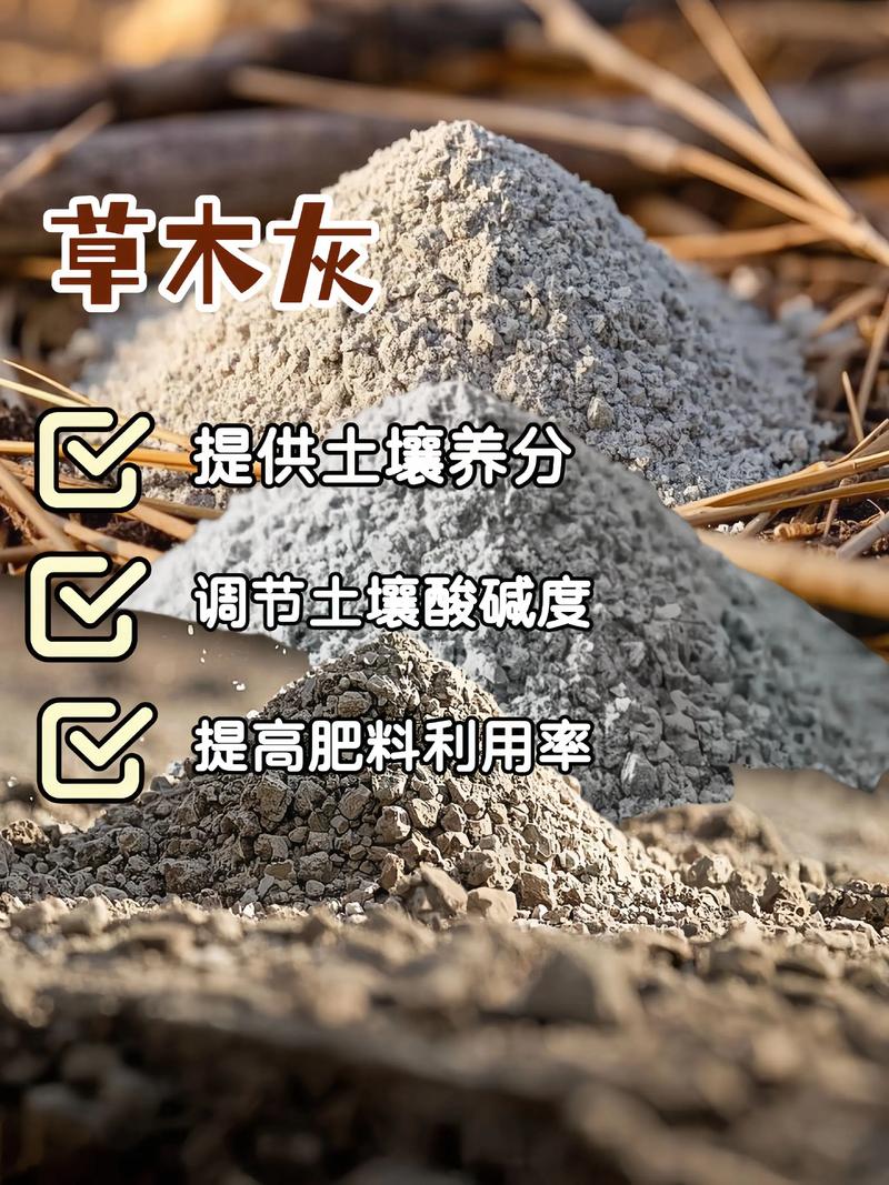 草木灰能给土壤杀菌吗?园艺新手必知的正确用法与误区 草木灰的杀菌原理