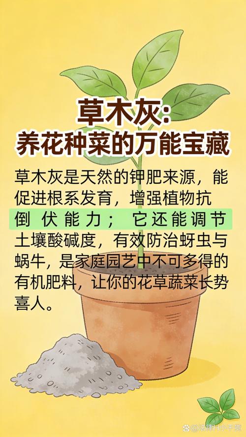 草木灰能给土壤杀菌吗?园艺新手必知的正确用法与误区 它能替代专业杀菌剂吗?