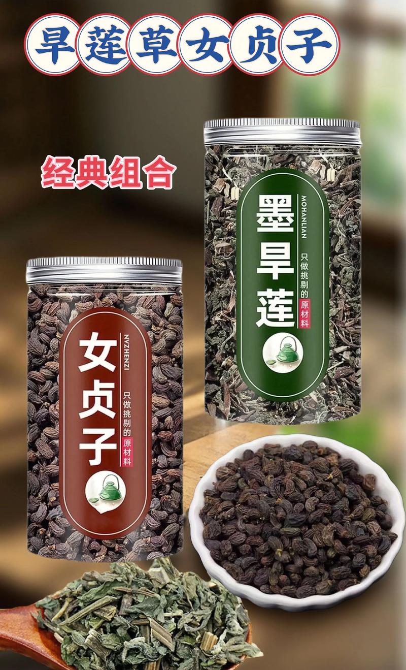 女贞子的功效与作用与主治:补肝肾清虚热的常用药 🍵 食用常识