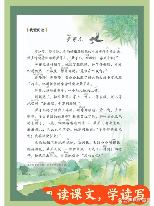 竹笋是竹子的幼苗吗?揭秘竹子生长的奇妙历程 四、 竹笋与竹子的共生关系
