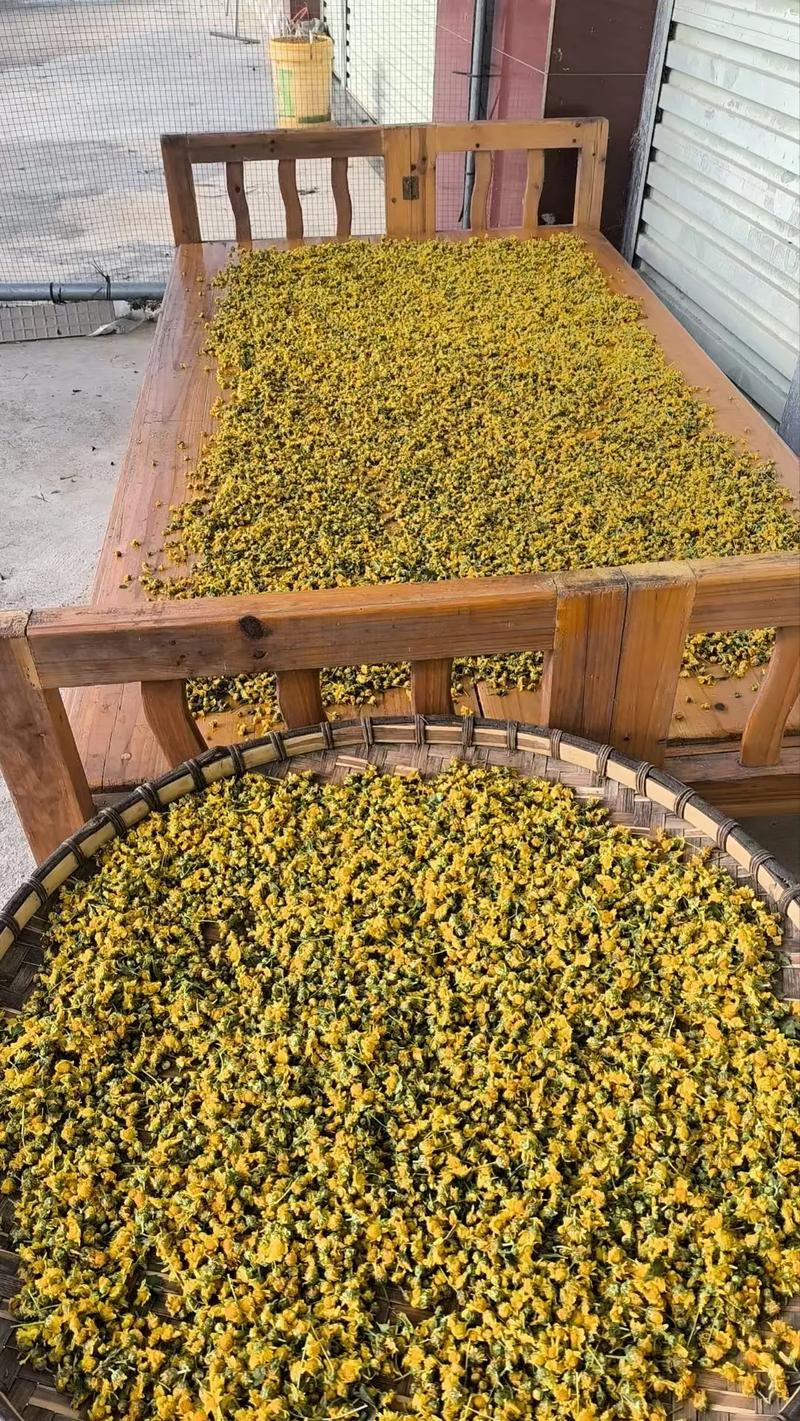 野菊花怎么晾晒?从花期养护到干花制作全攻略 修剪促花系统指导