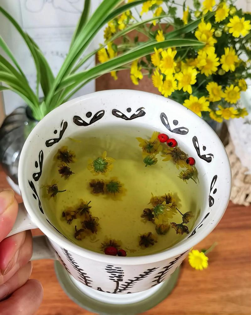 野菊花怎么晾晒?从花期养护到干花制作全攻略 越冬与越夏管理