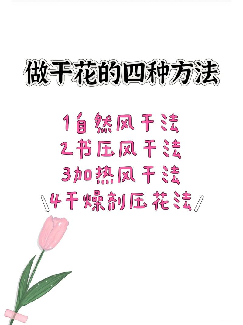 野菊花怎么晾晒?从花期养护到干花制作全攻略 常见误区与纠正