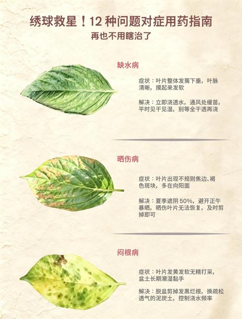二、光照过强：半日照是安全线