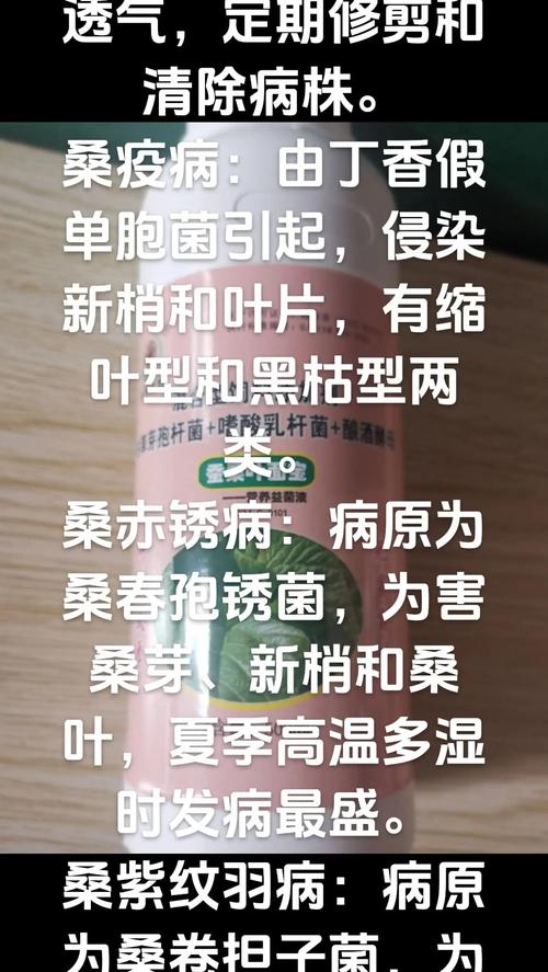 有木槿花叶子发黄?从水肥到病虫害的系统排查与处理指南 分步排查清单