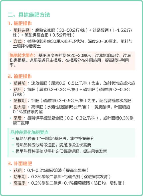 桃树12月可以施肥吗?冬季施基肥的正确时机与方法 光照:12月无需额外补光,但修剪可改善树体透光