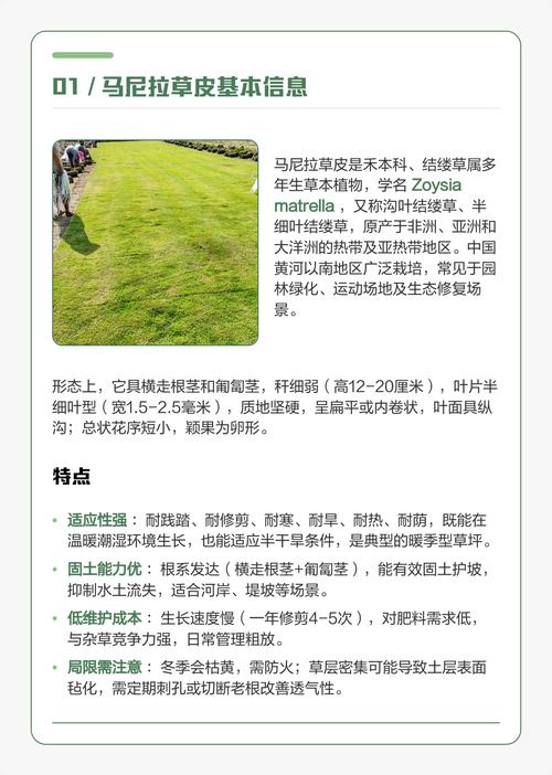 马尼拉草皮价格多少钱一平米?2025年最新报价与影响因素全解析 数量因素:批量越大,单价越低