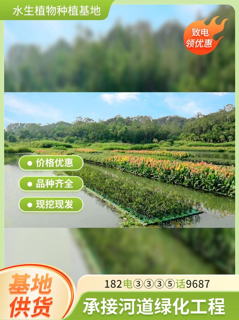 植物浮床多少钱?2025年最新价格参考与购买指南 二、产地:产业集群决定出厂价(影响因素:产地)