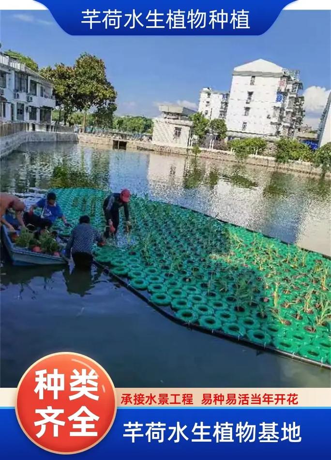 植物浮床多少钱?2025年最新价格参考与购买指南 四、数量:家庭单买与批发价差可达5倍(影响因素:数量)