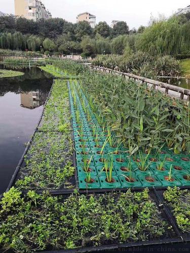 植物浮床多少钱?2025年最新价格参考与购买指南 五、运输:体积大导致物流成本占比高(影响因素:运输)