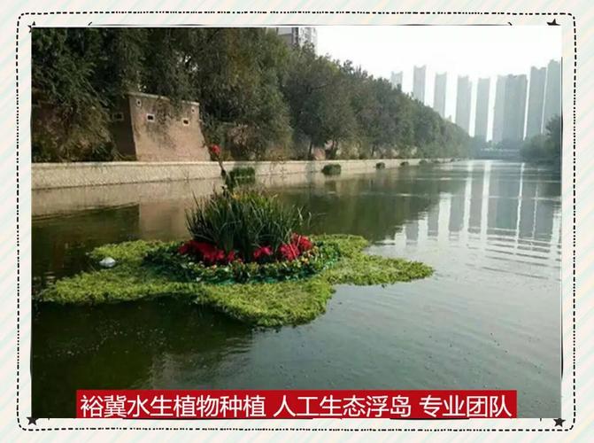 植物浮床多少钱?2025年最新价格参考与购买指南 咨询指南:如何获取精准报价?