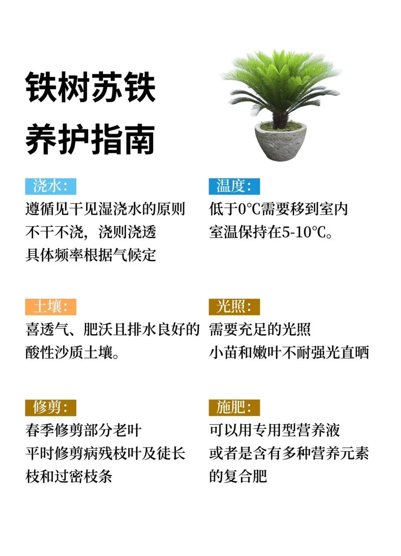 结语