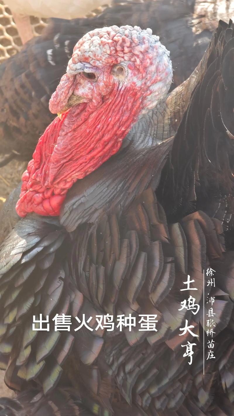 第一步：明确需求，初步筛选候选渠道