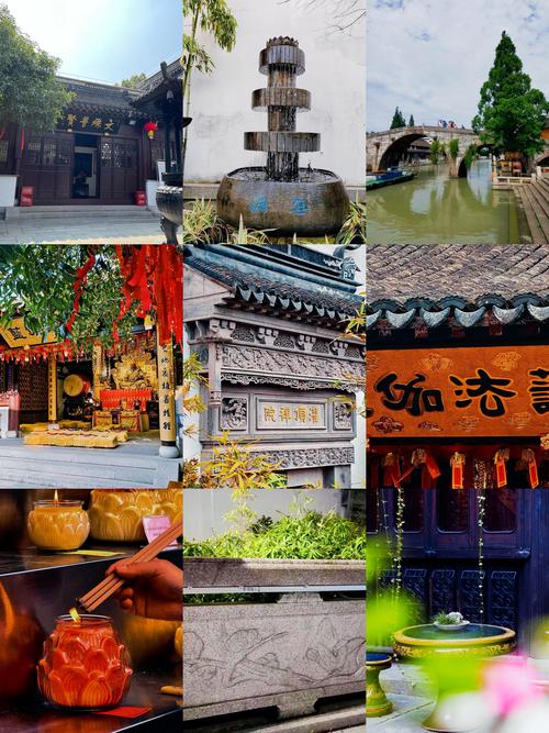 院子两侧有两棵大银杏树好吗?科学评估与庭院设计建议 五、民间寓意:只作文化参考,不作科学依据