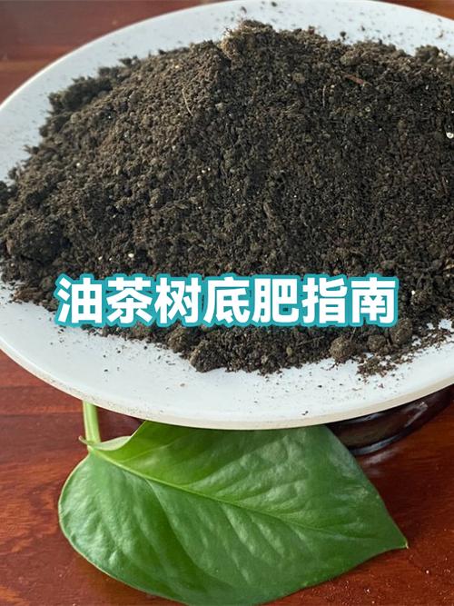 油茶专用肥多少钱?2024年最新价格参考与选购指南 不同规格与场景价格对比表